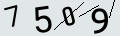 verifycode